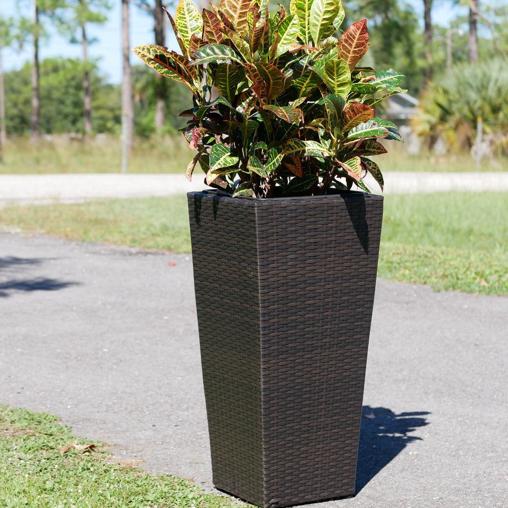 Conical Wicker Planter