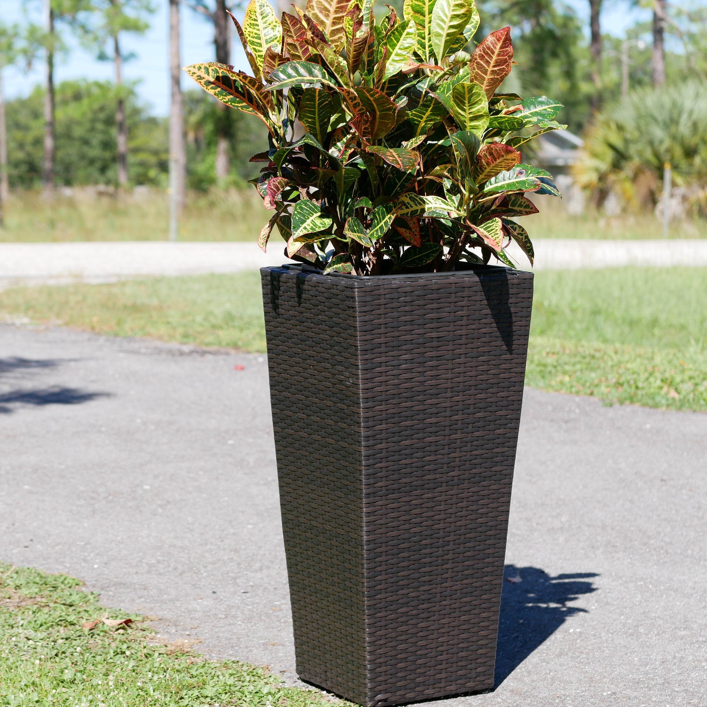 Conical Wicker Planter