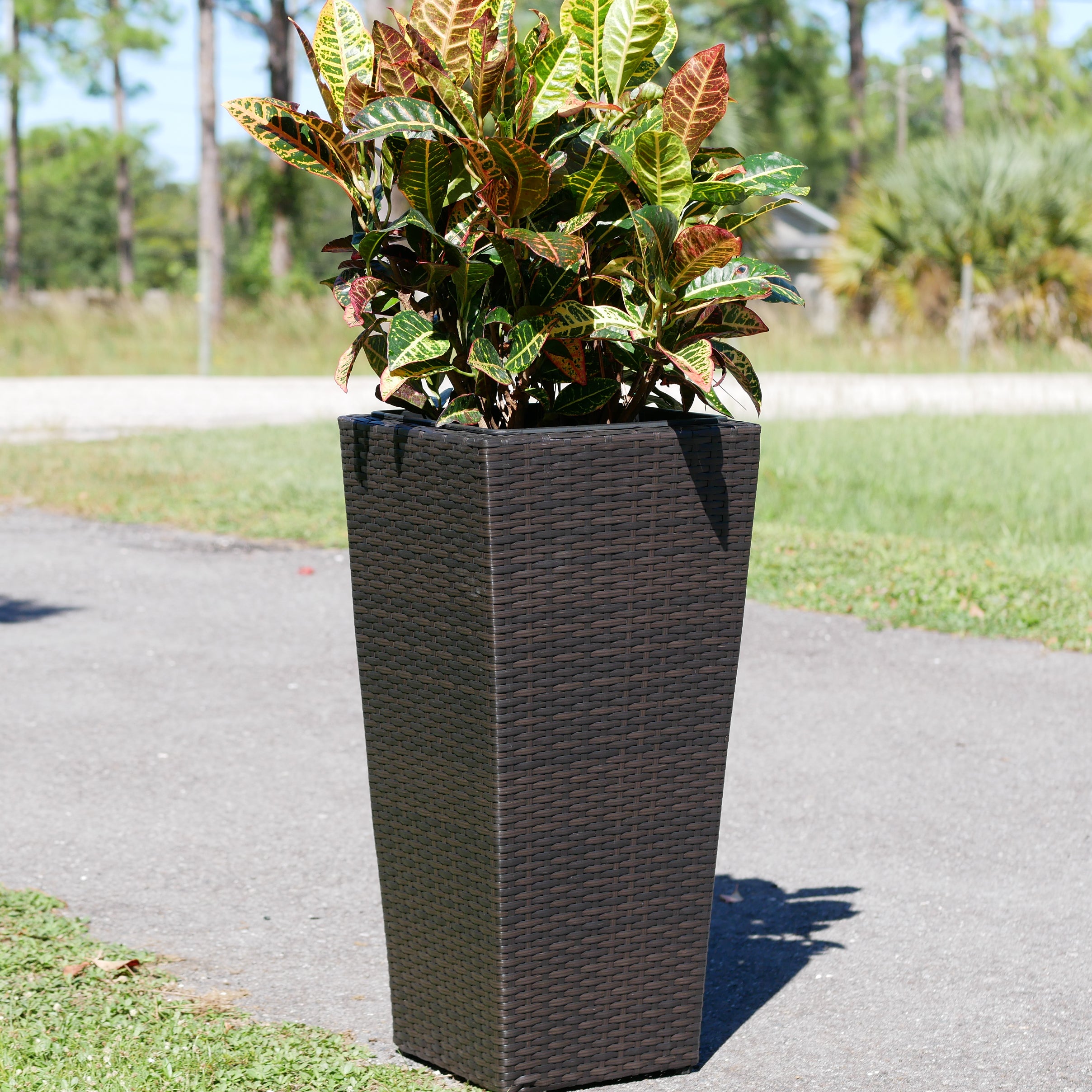 Conical Wicker Planter