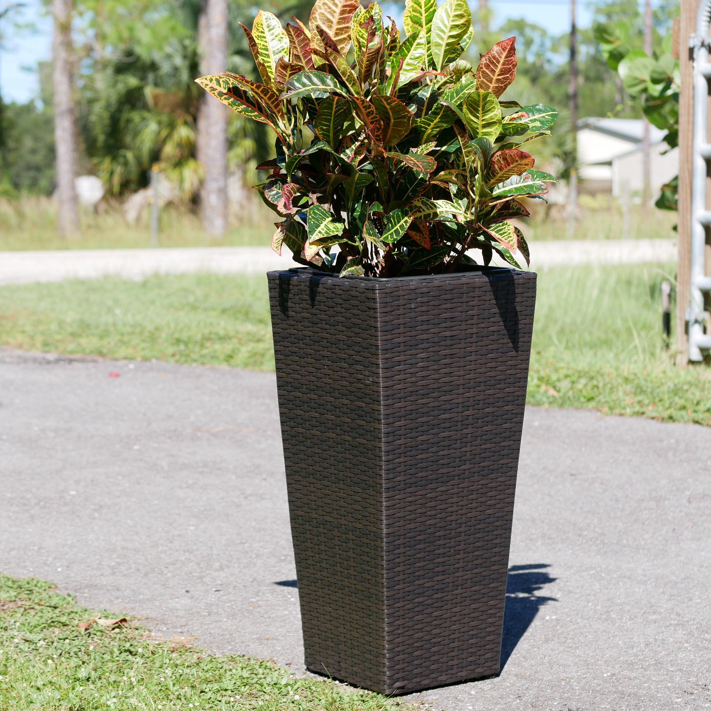Conical Wicker Planter