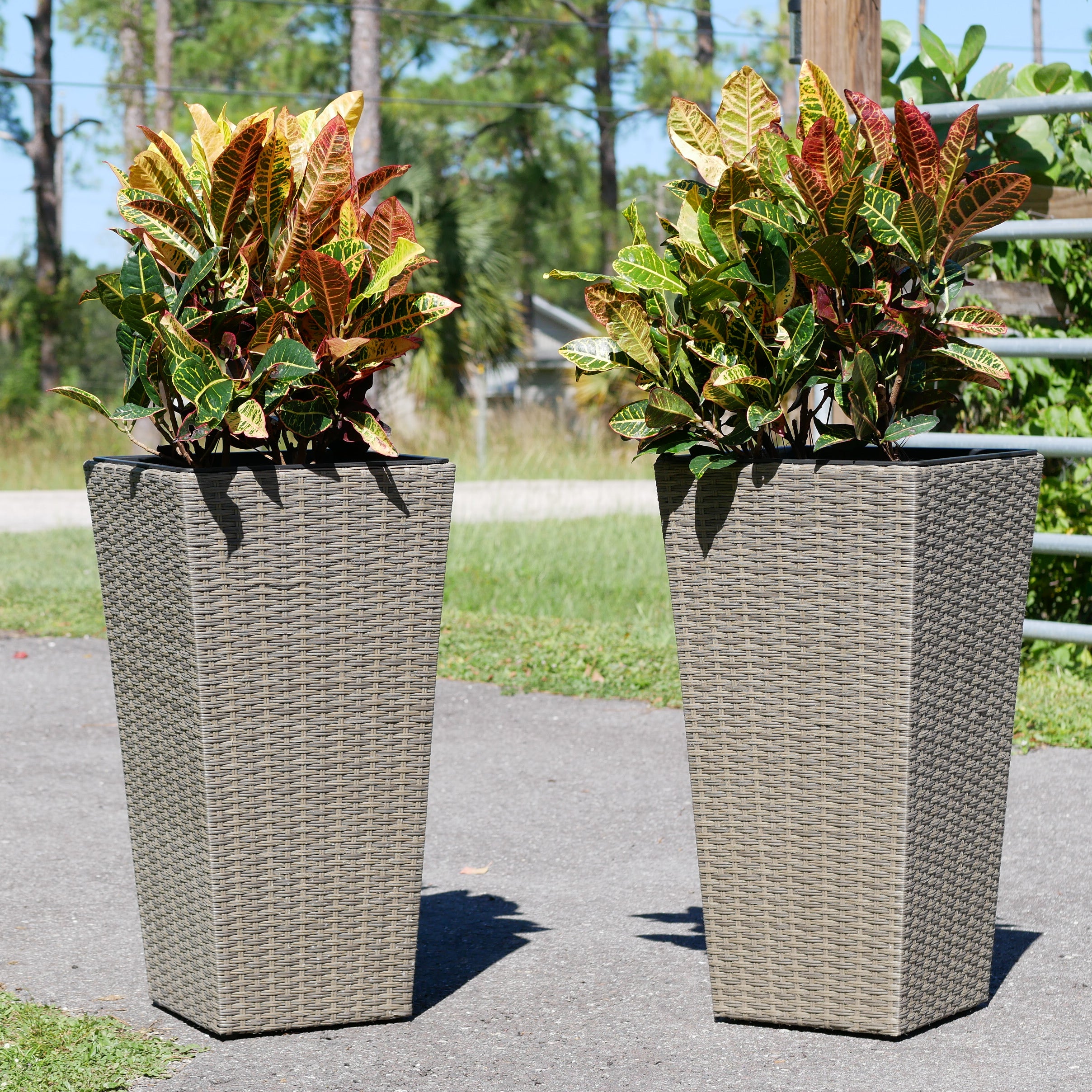 Set of 2 Wicker Planters, Large
