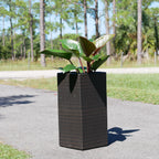 Wicker Planter, Medium