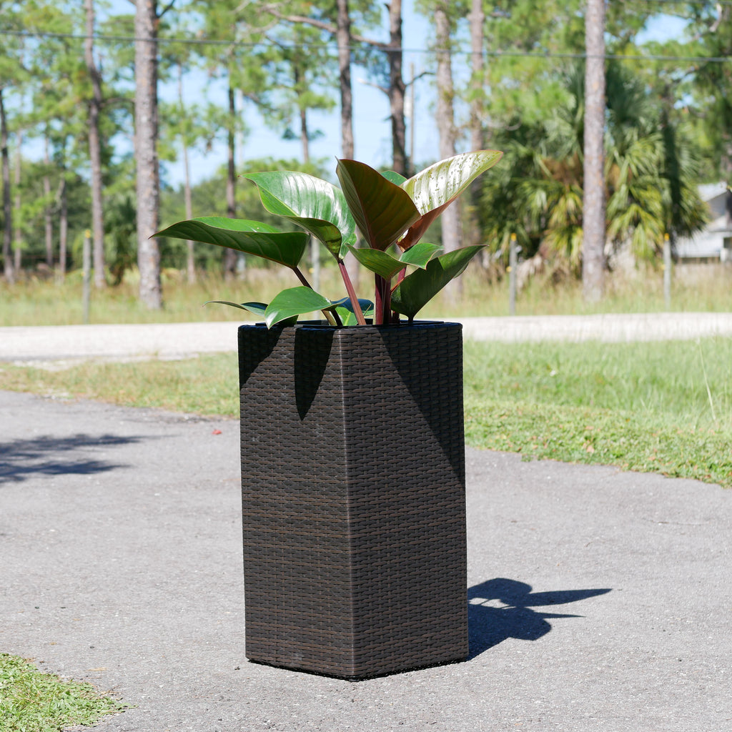 Wicker Planter, Medium