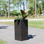 Wicker Planter, Medium