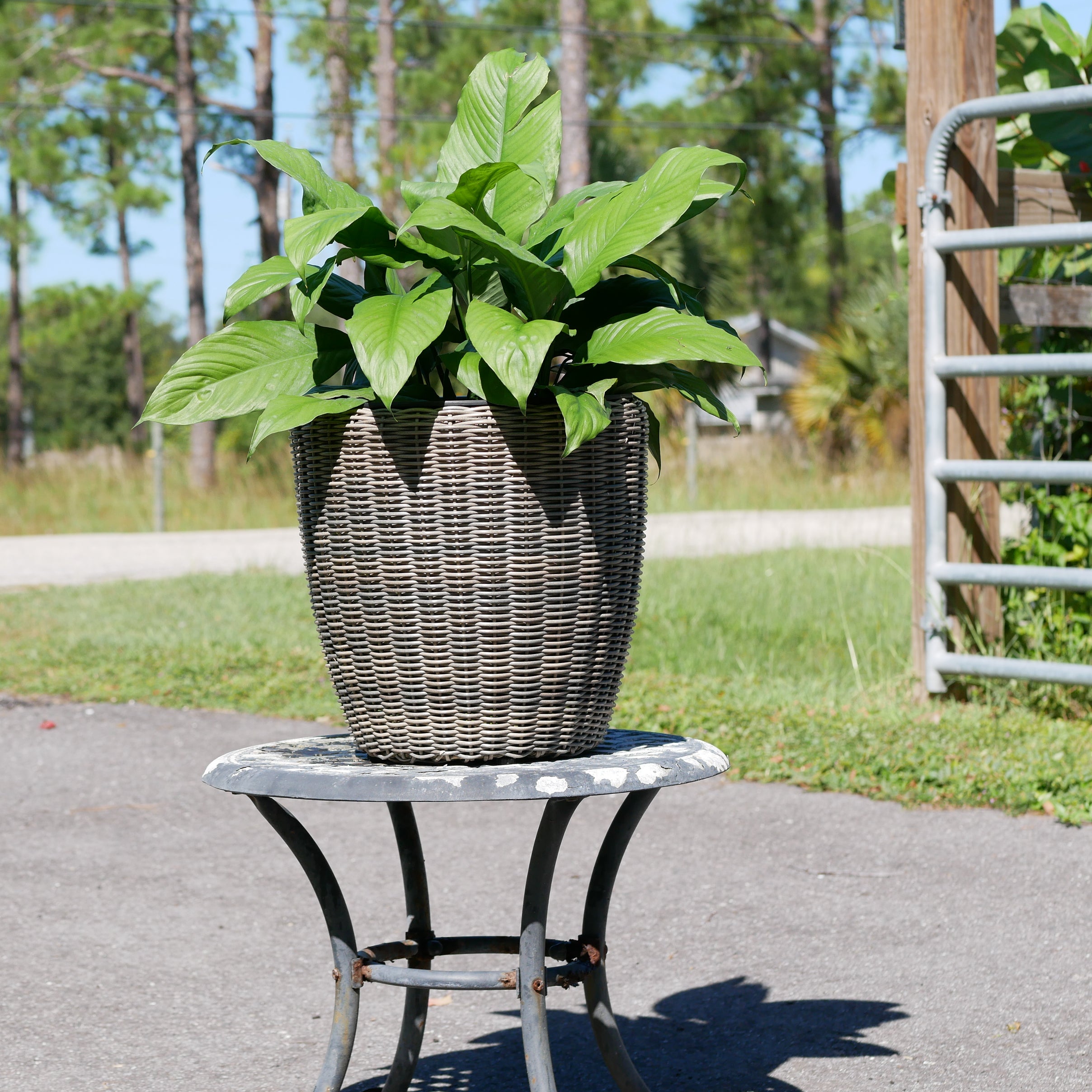 Round Wicker Planter