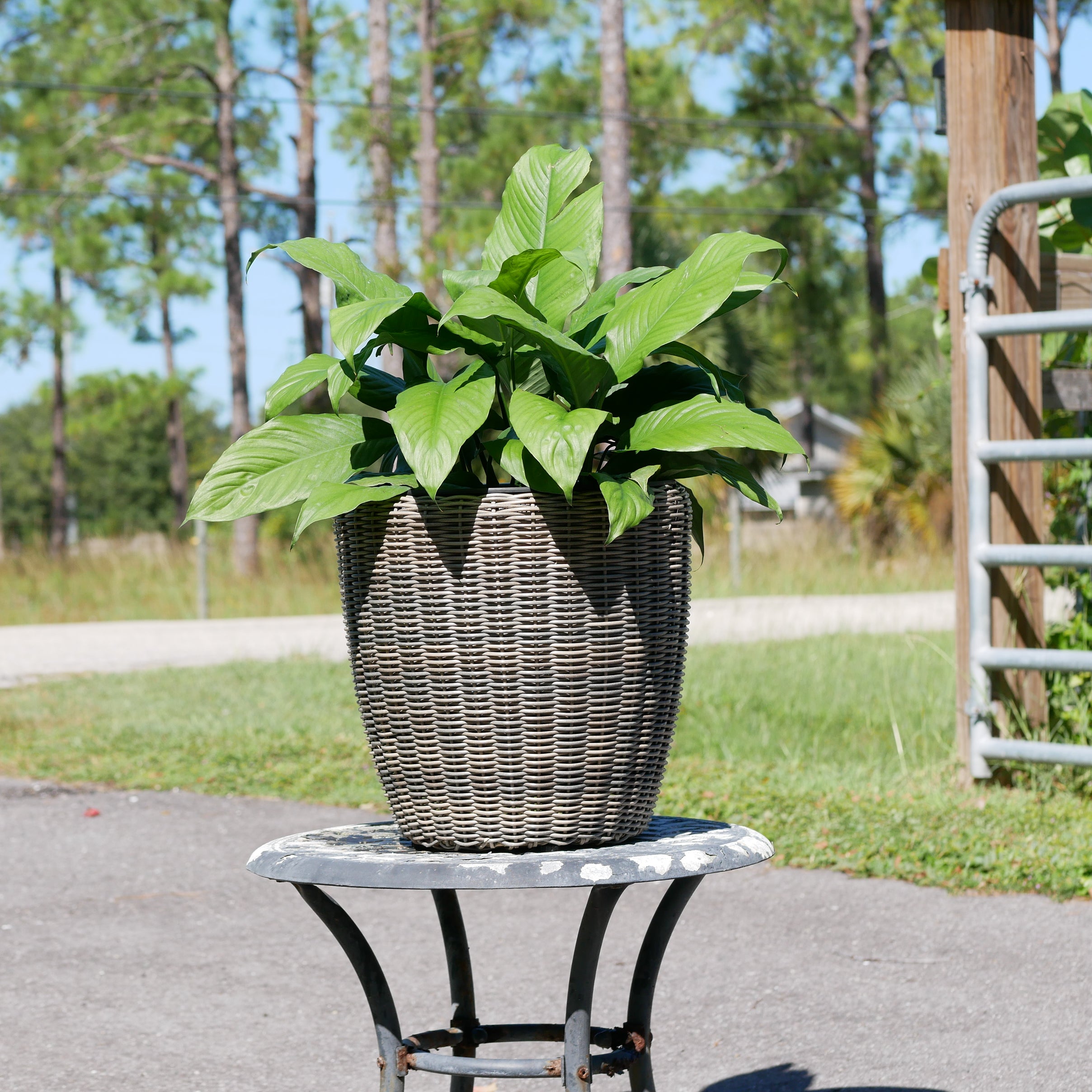 grey wicker plant pots outdoor Round Wicker Planter – Rattan Planters