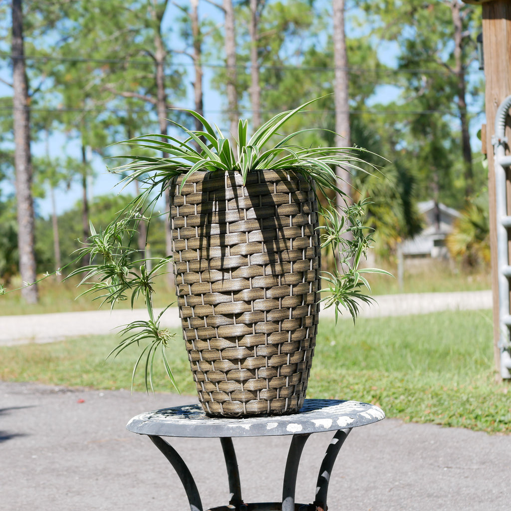 Round Wicker Planter, Medium