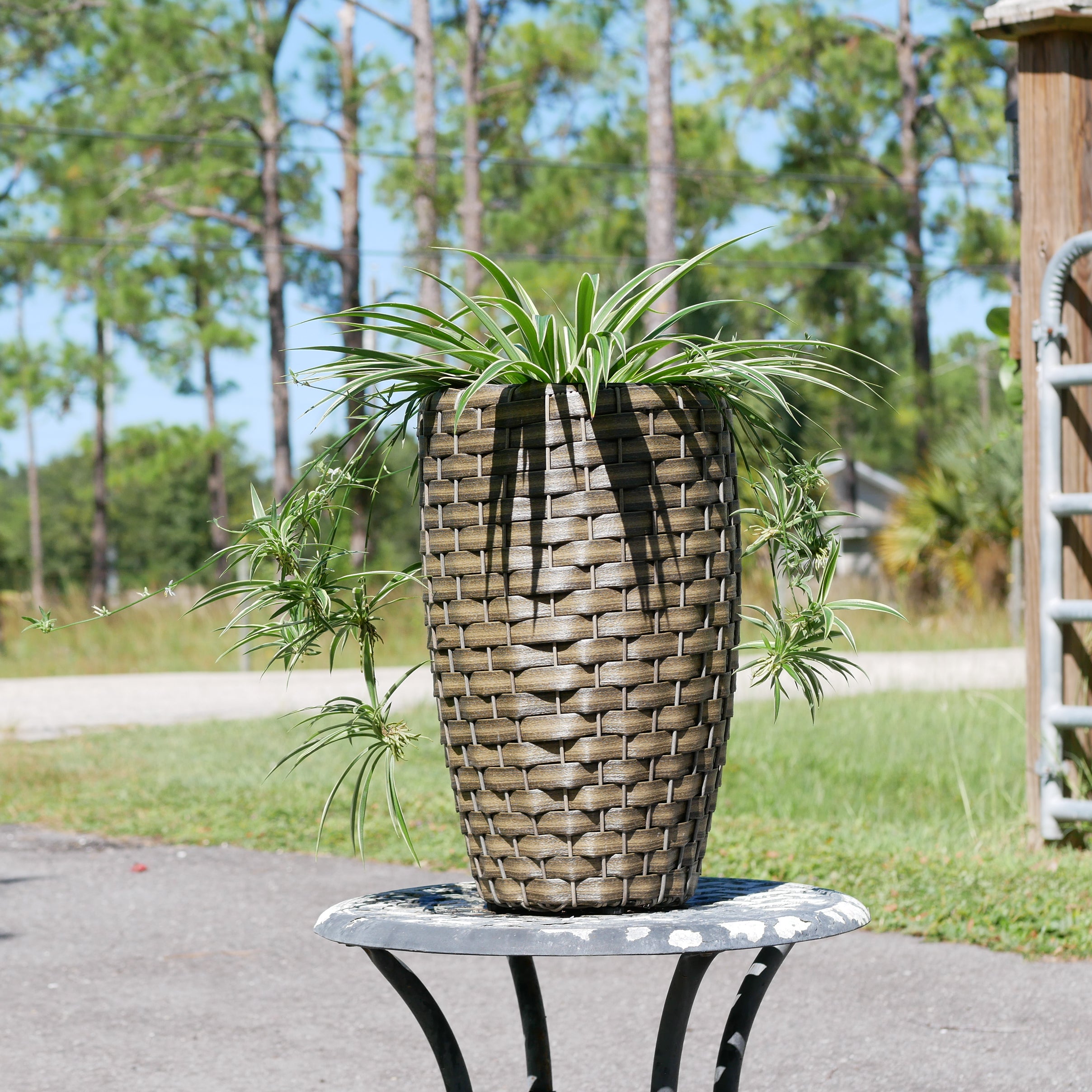 Round Wicker Planter, Medium