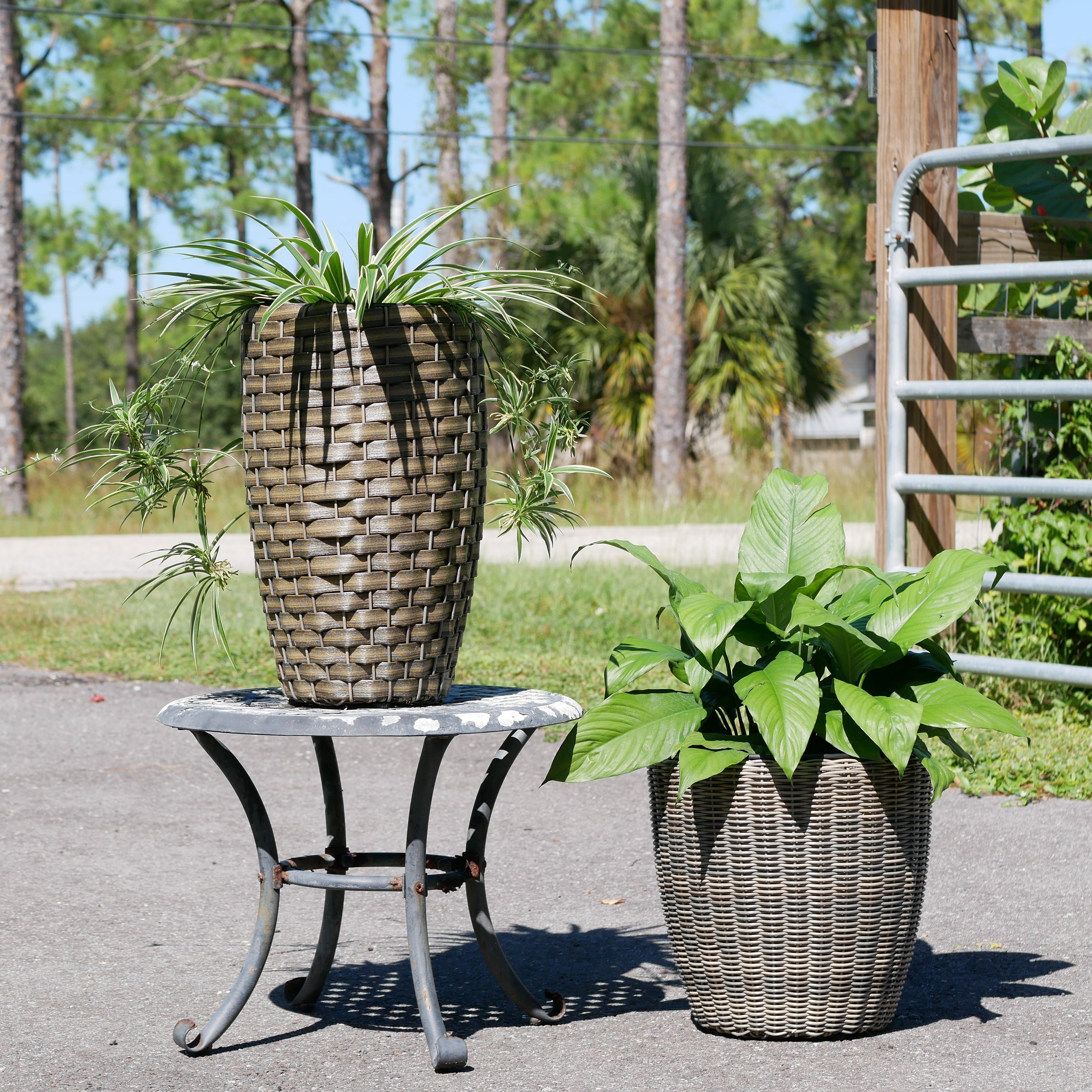 Round Wicker Planter, Medium