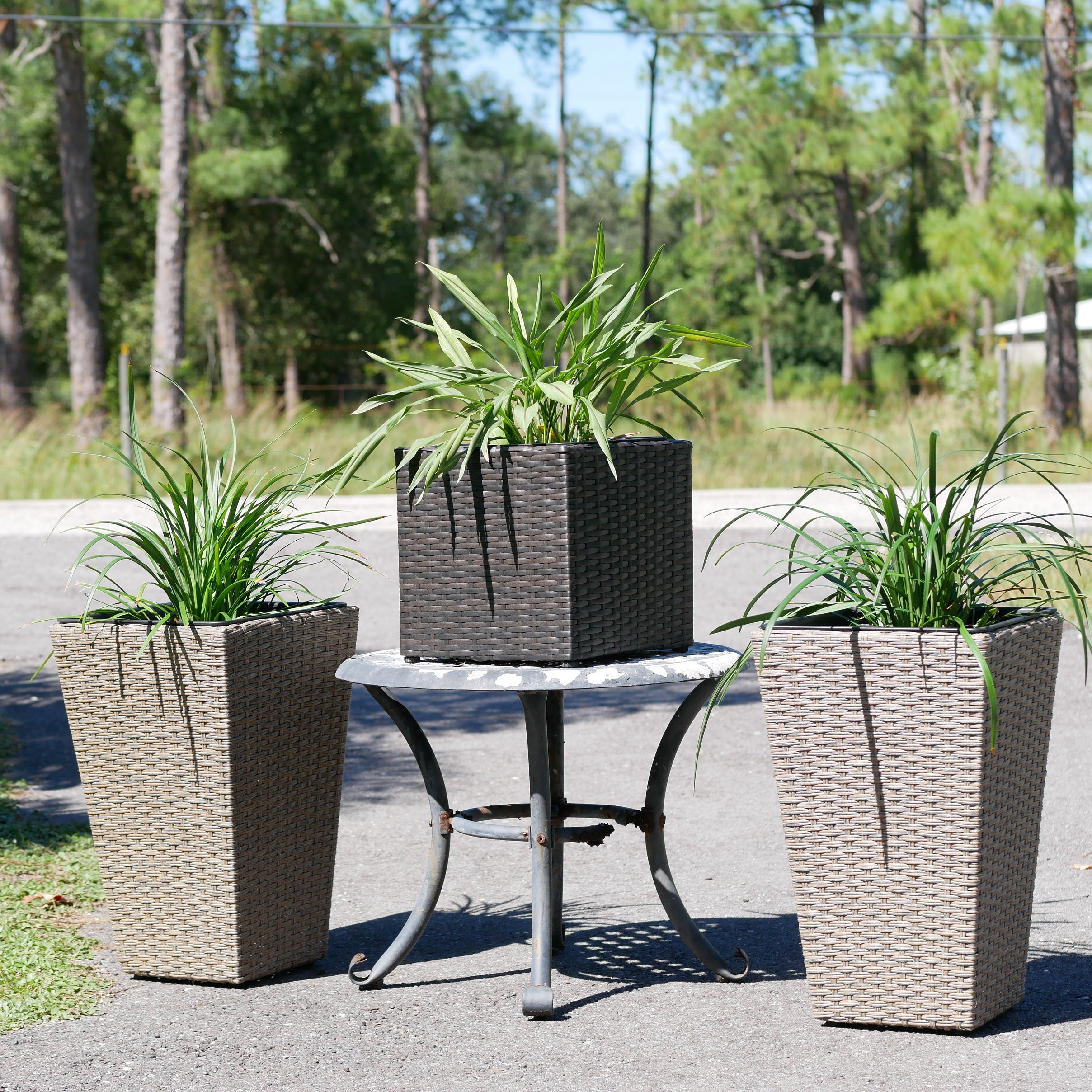 Set of 2 Wicker Planters, Medium
