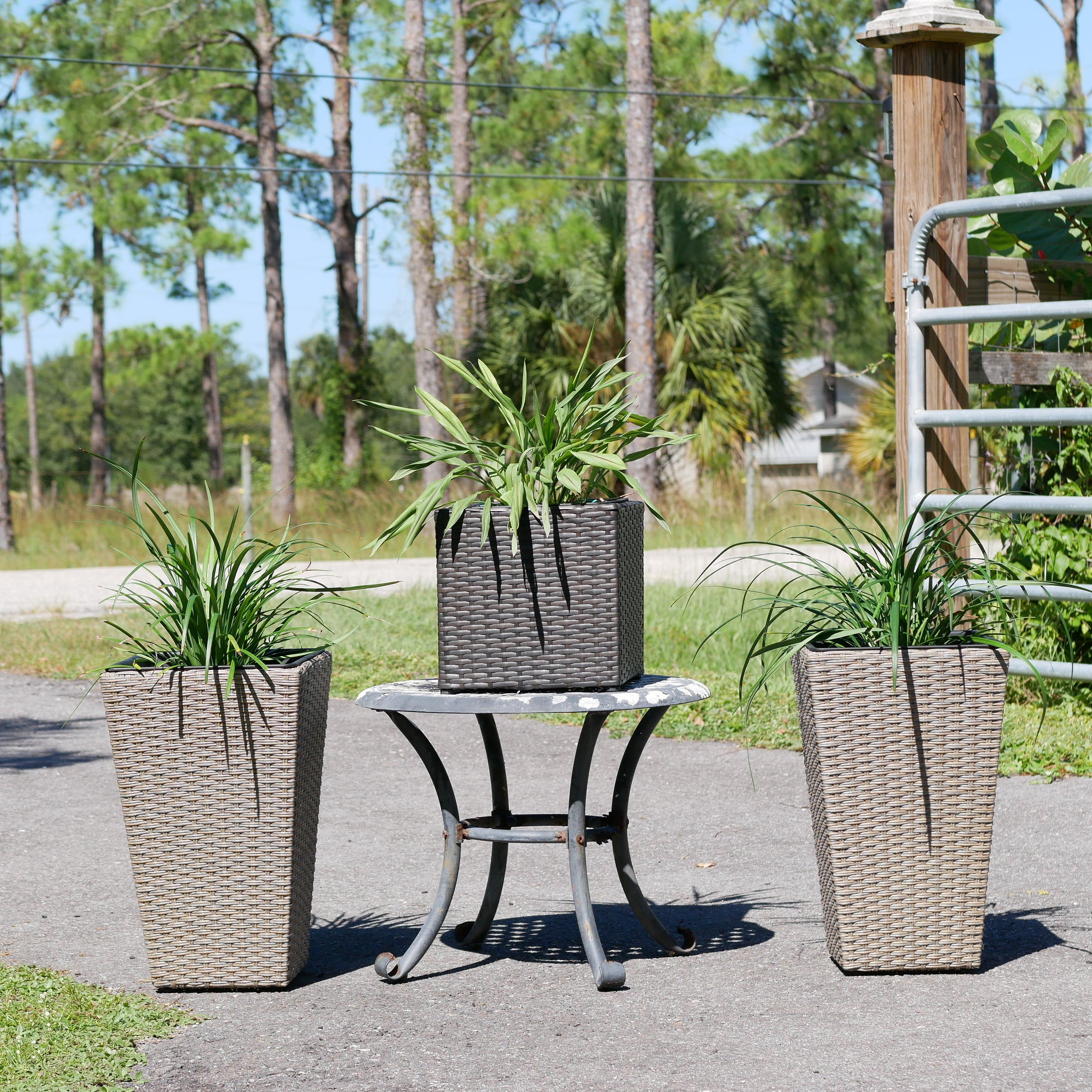 Set of 2 Wicker Planters, Medium