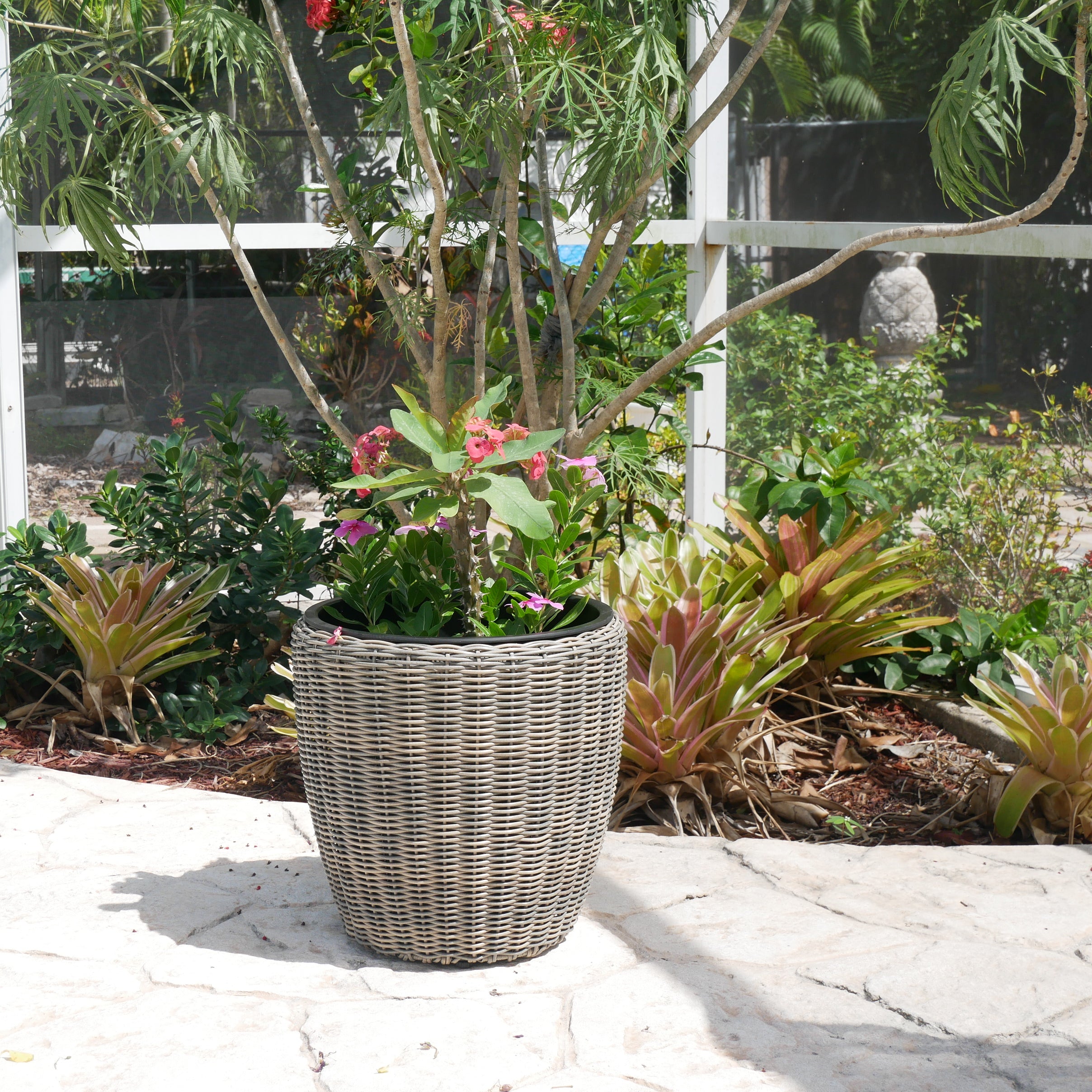 Round Wicker Planter