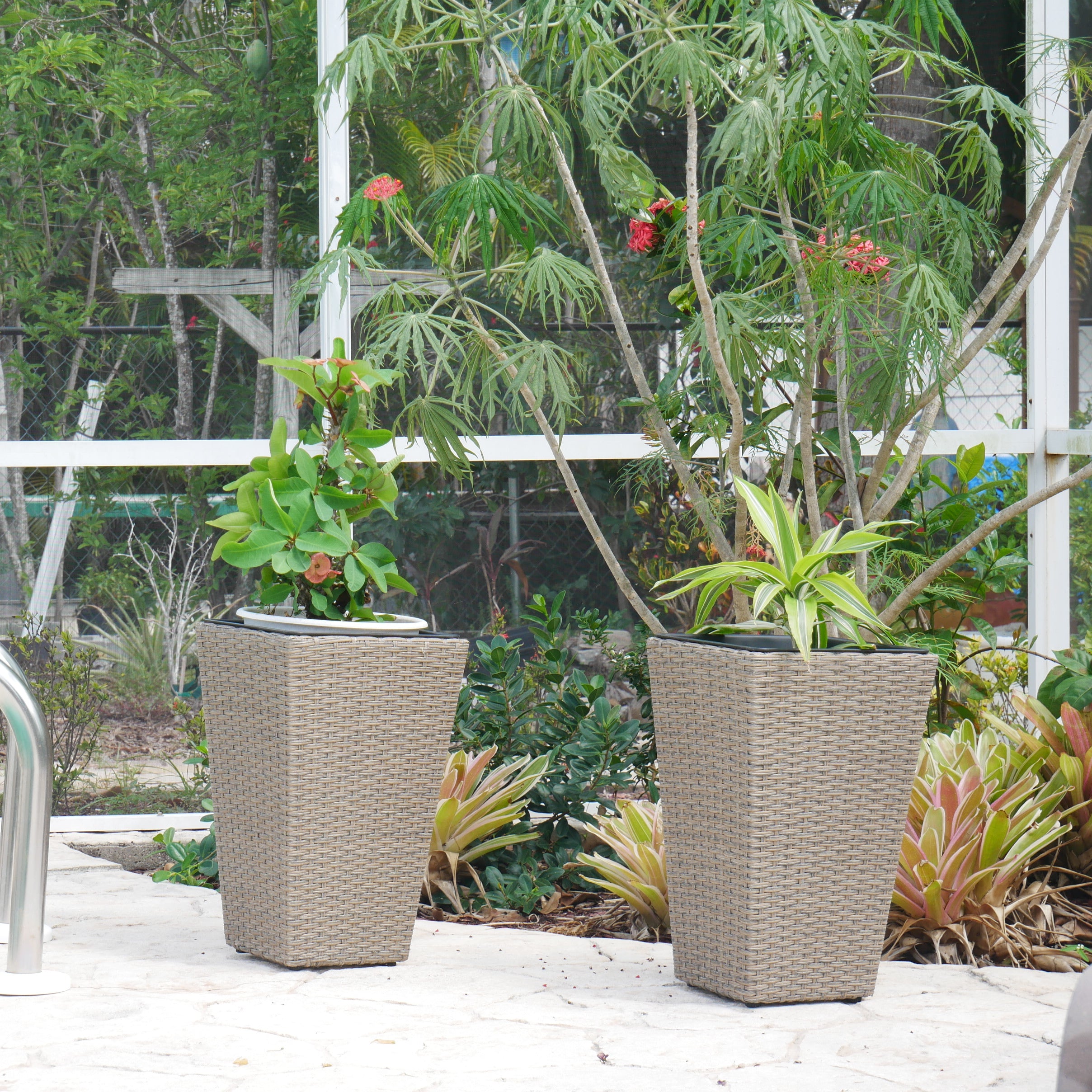 Set of 2 Wicker Planters, Medium