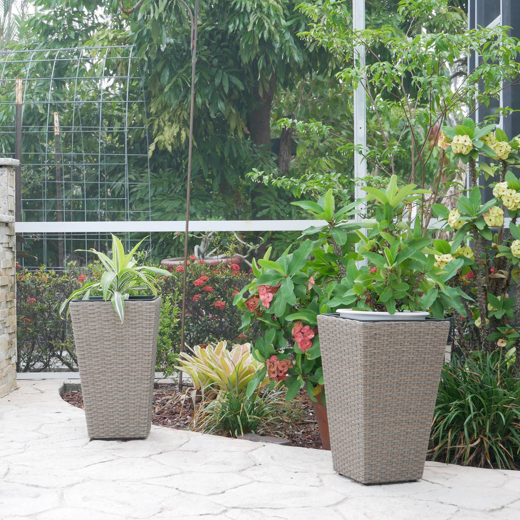 Set of 2 Wicker Planters, Medium