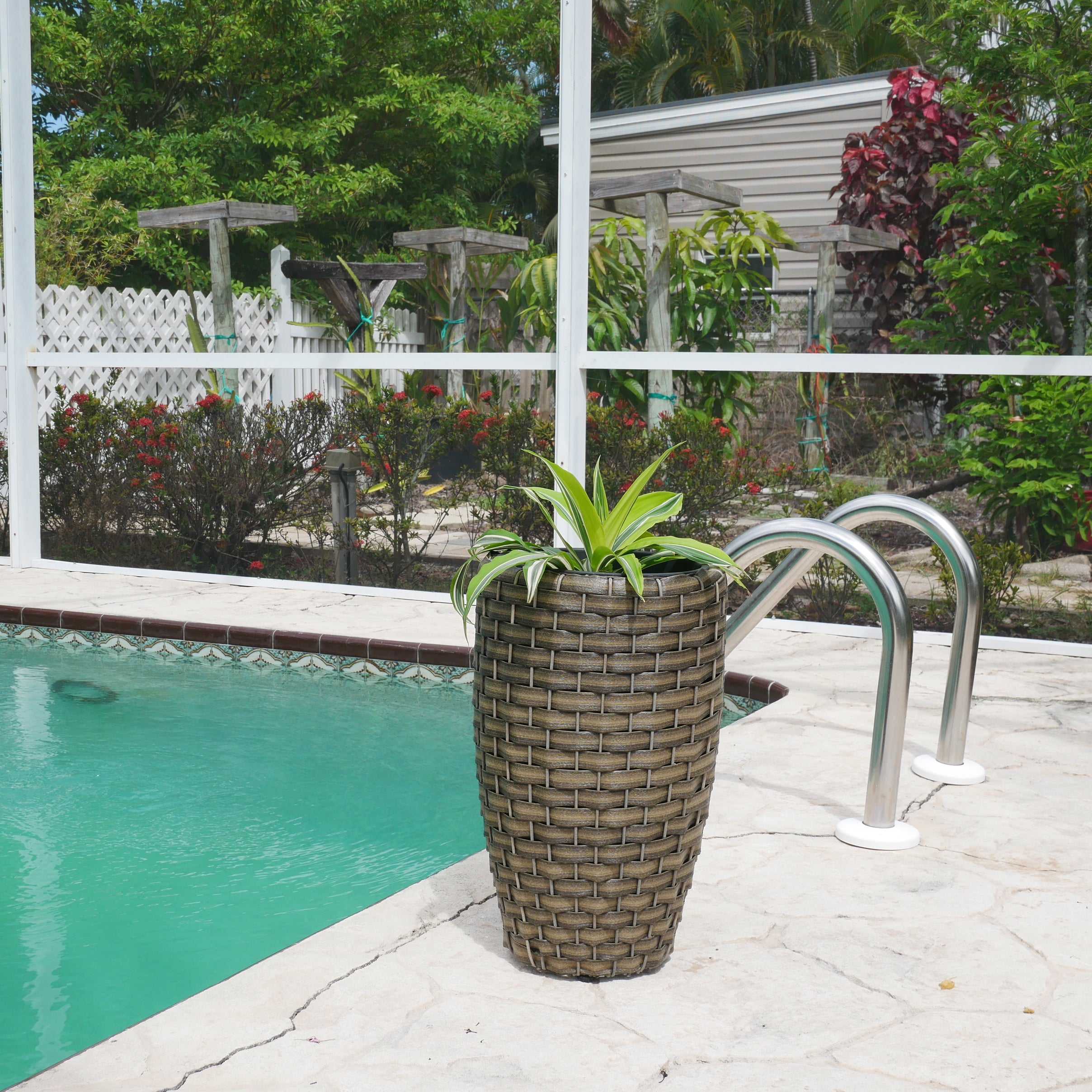 Round Wicker Planter, Medium