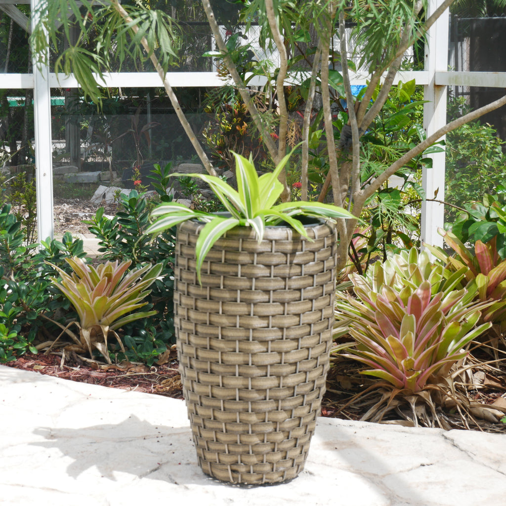 Round Wicker Planter, Medium