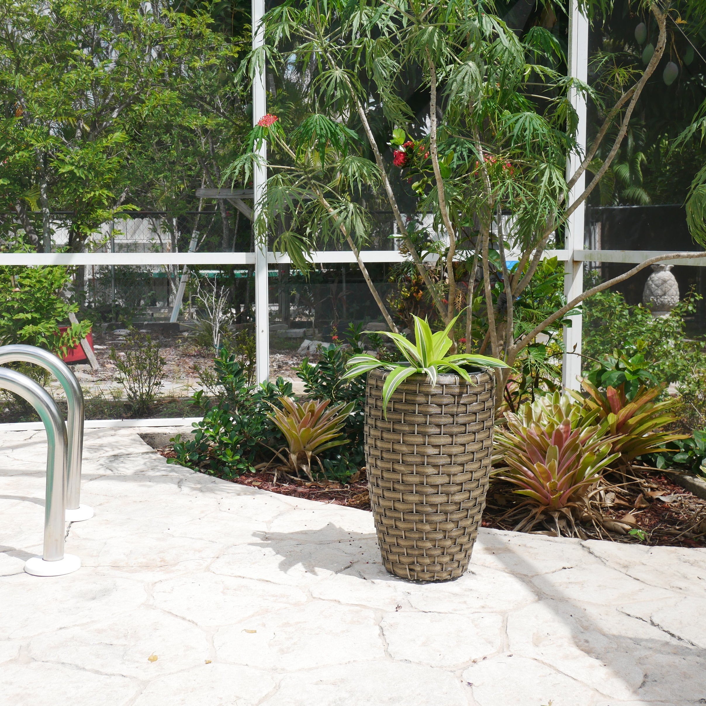 Round Wicker Planter, Medium