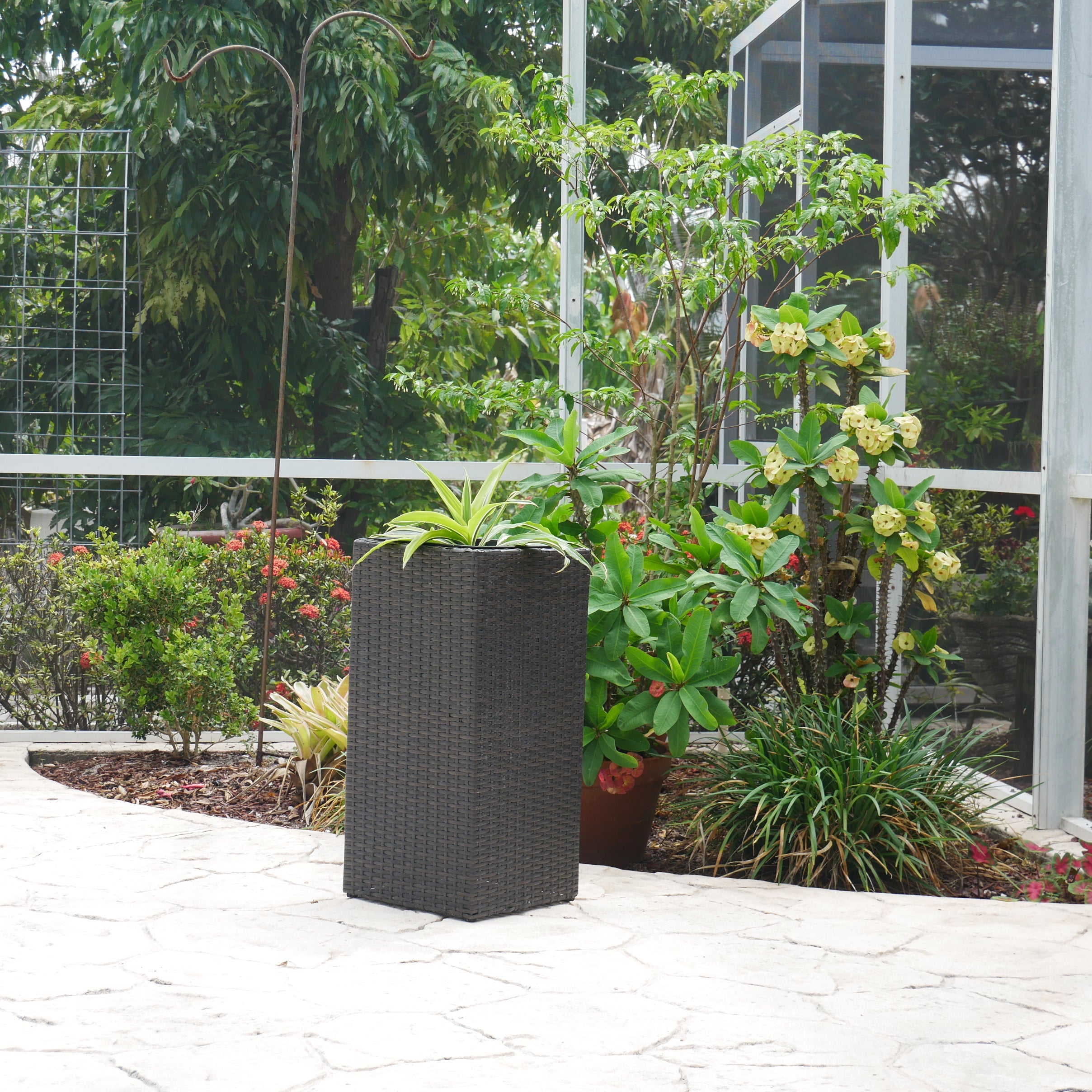 Wicker Planter, Medium