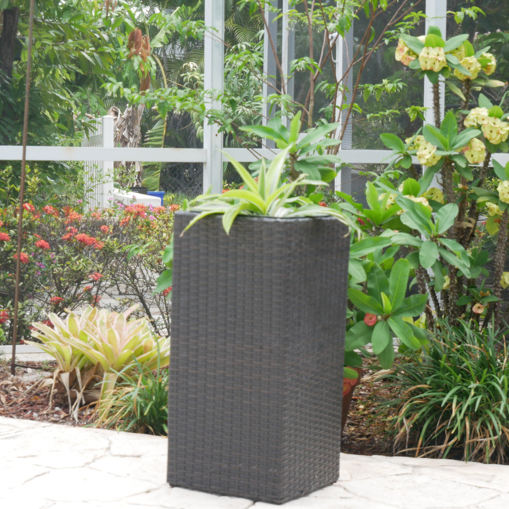Wicker Planter, Medium